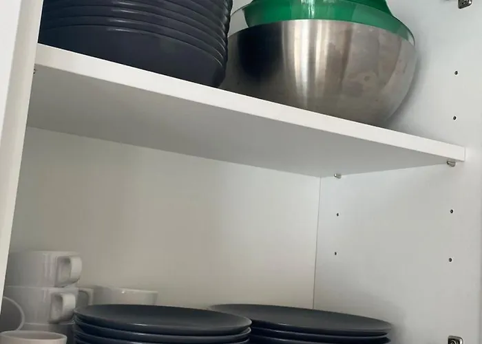 Dama Turisticos Toledo