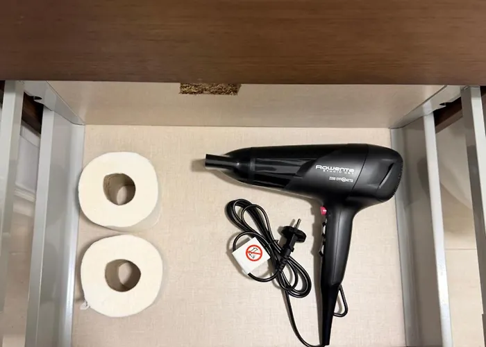 Dama Turisticos Toledo